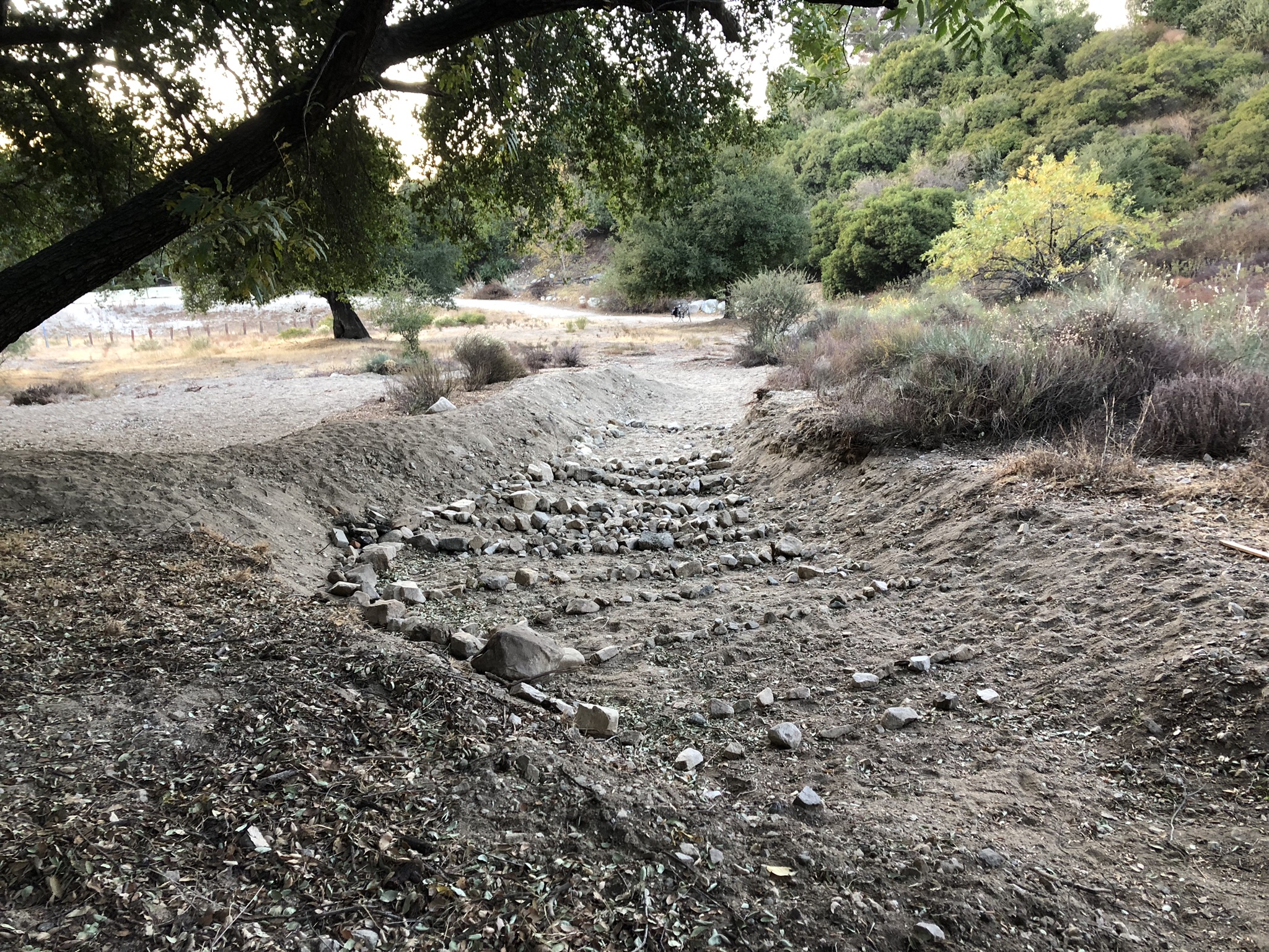 The completed stormwater recharge bioswale at the Rosemont Preserve in La Crescenta